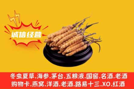 渭南回收冬虫夏草